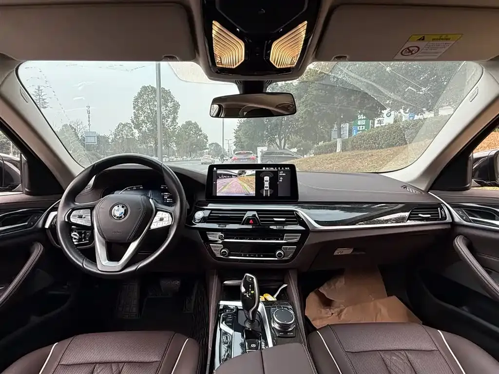 BMW 5 Series 2024 из CN, фото 8