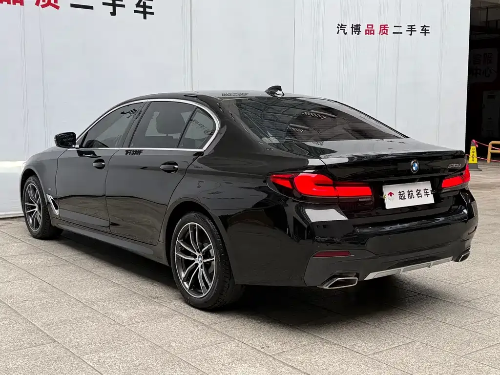 BMW 5 Series 2022 из CN, фото 9