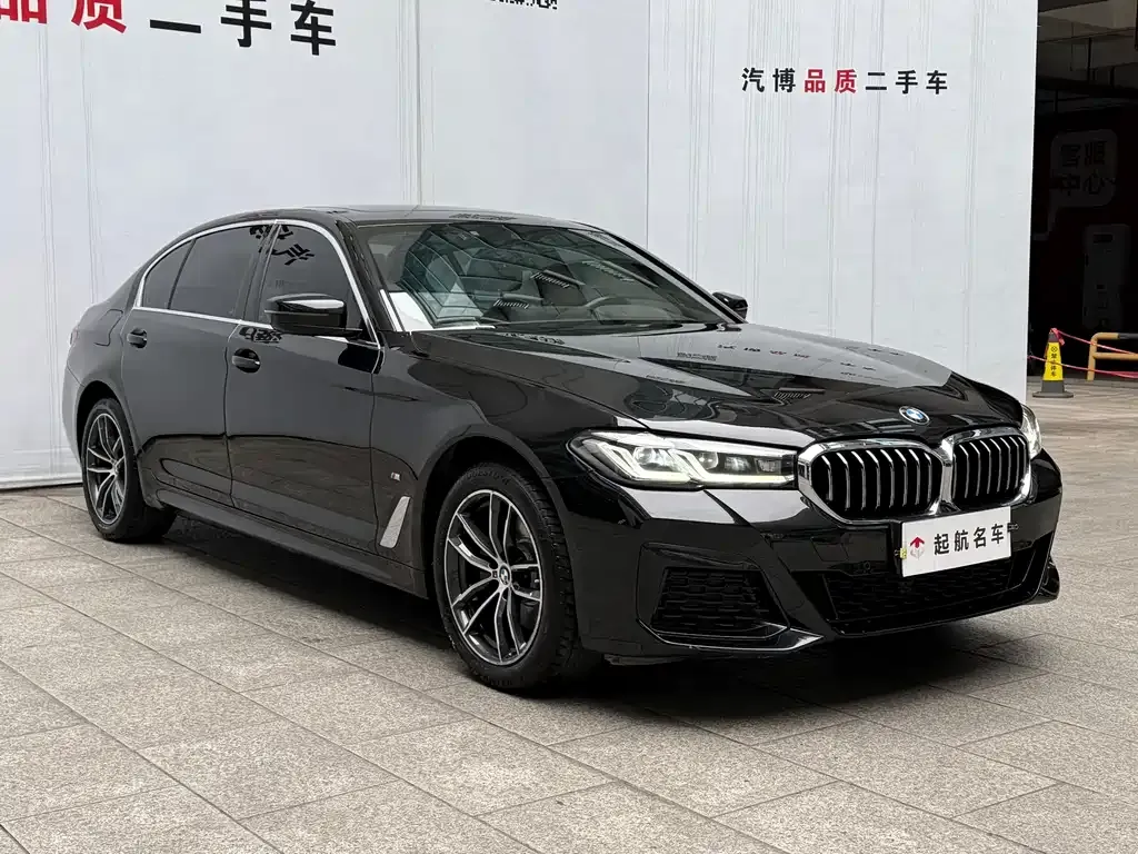 BMW 5 Series 2022 из CN, фото 3