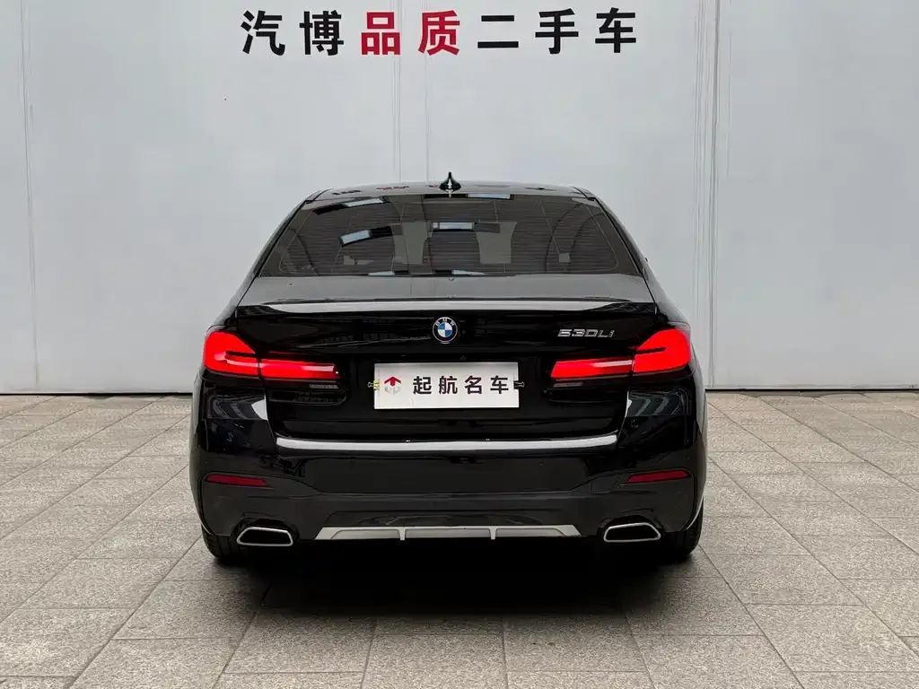 BMW 5 Series 2022 из CN, фото 8
