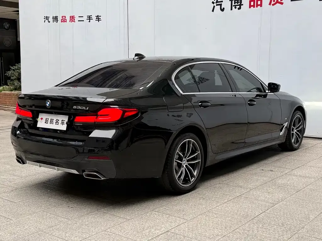 BMW 5 Series 2022 из CN, фото 10