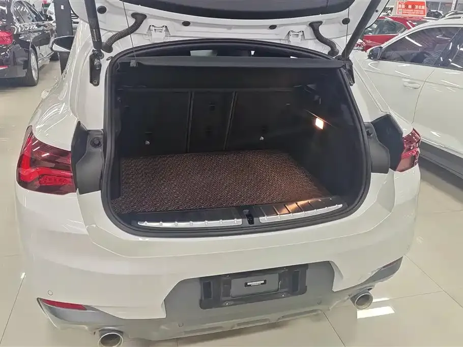 BMW X2 2021 из CN, фото 10
