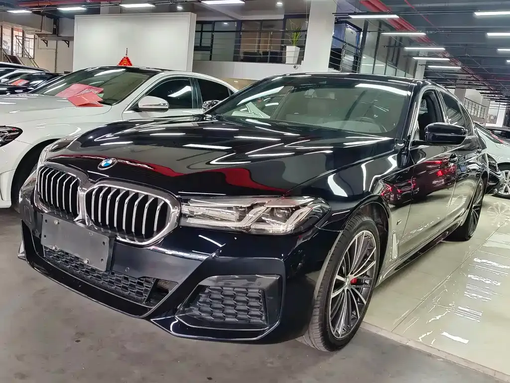 BMW 5 Series 2021 из CN, фото 1
