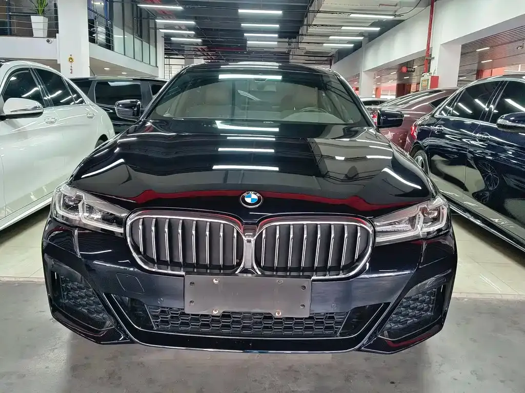 BMW 5 Series 2021 из CN, фото 10