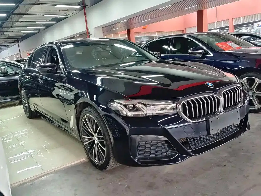 BMW 5 Series 2021 из CN, фото 8