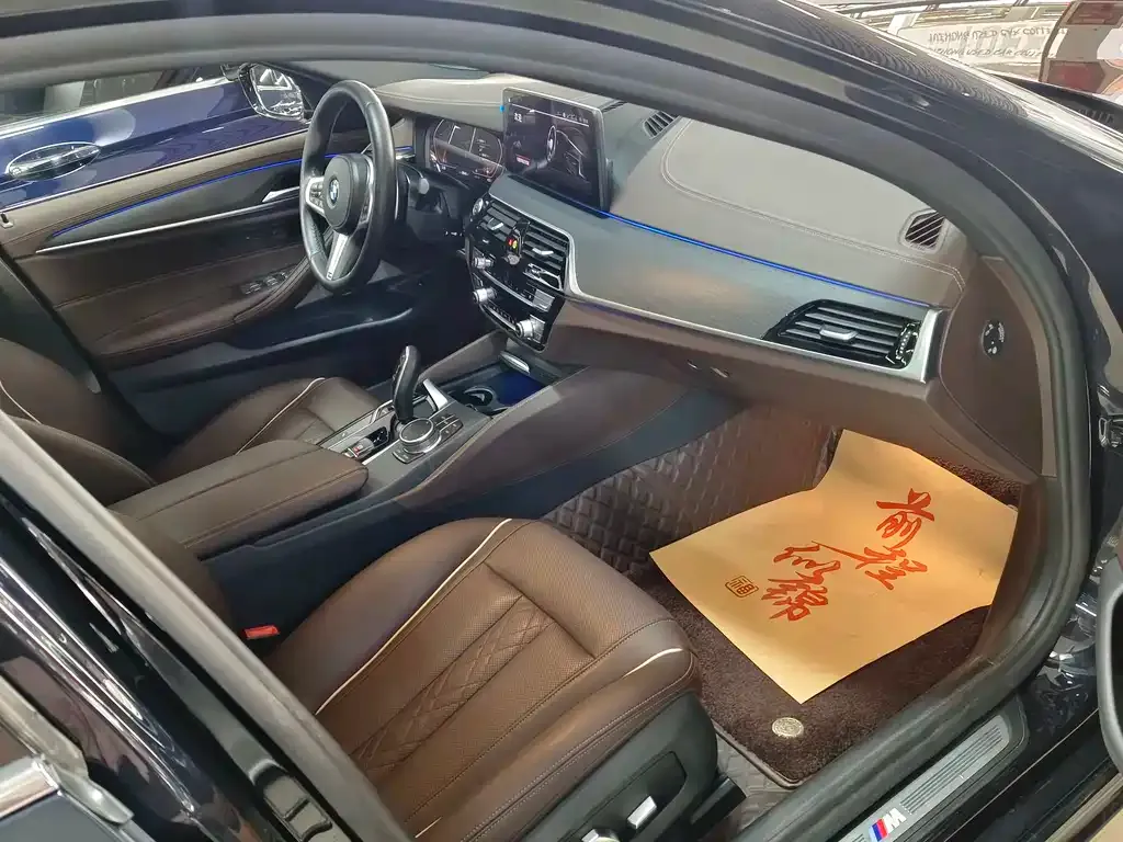 BMW 5 Series 2021 из CN, фото 7