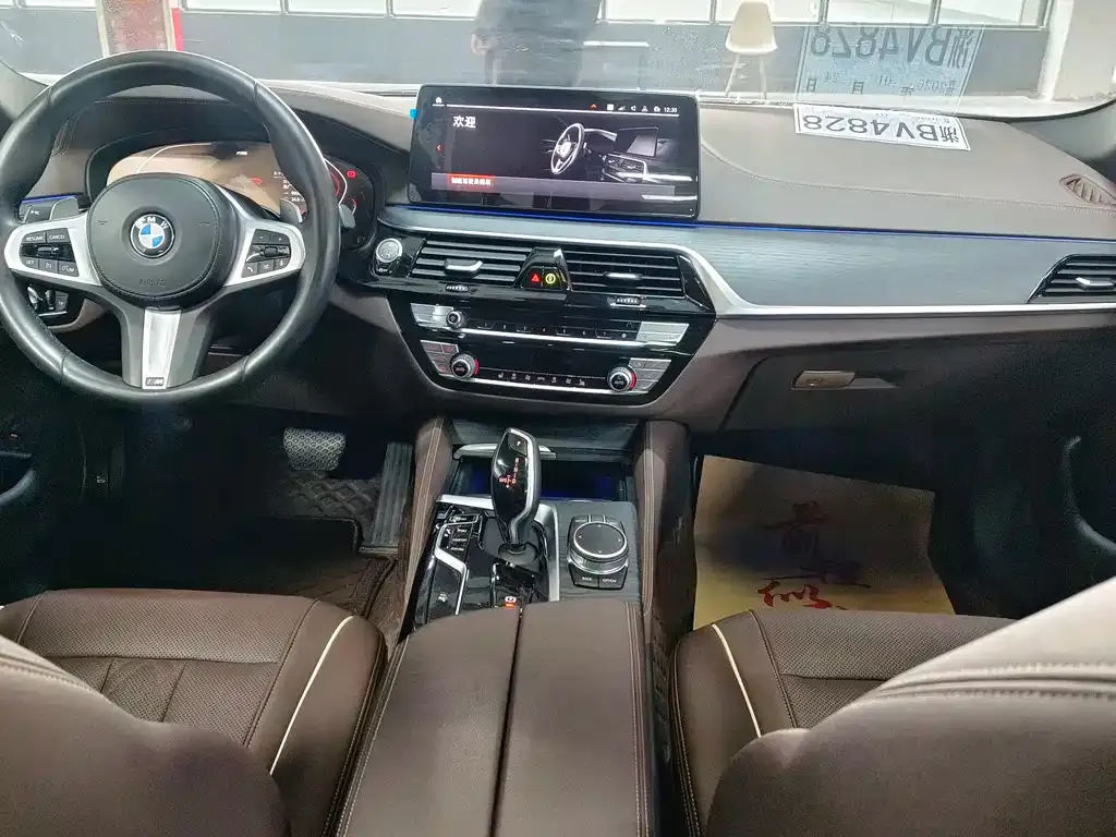 BMW 5 Series 2021 из CN, фото 9