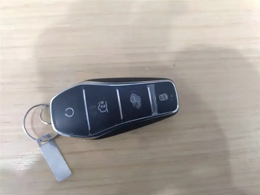 BYD L EV 2025 из CN, фото 2