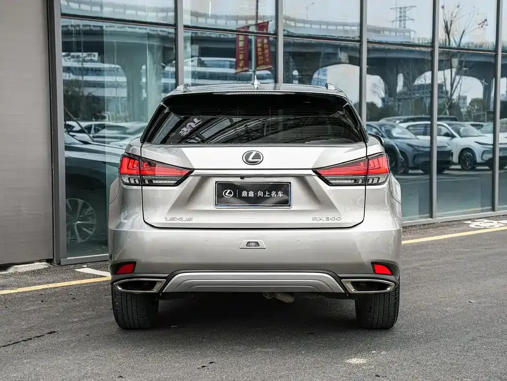Lexus RX 2021 из CN, фото 8