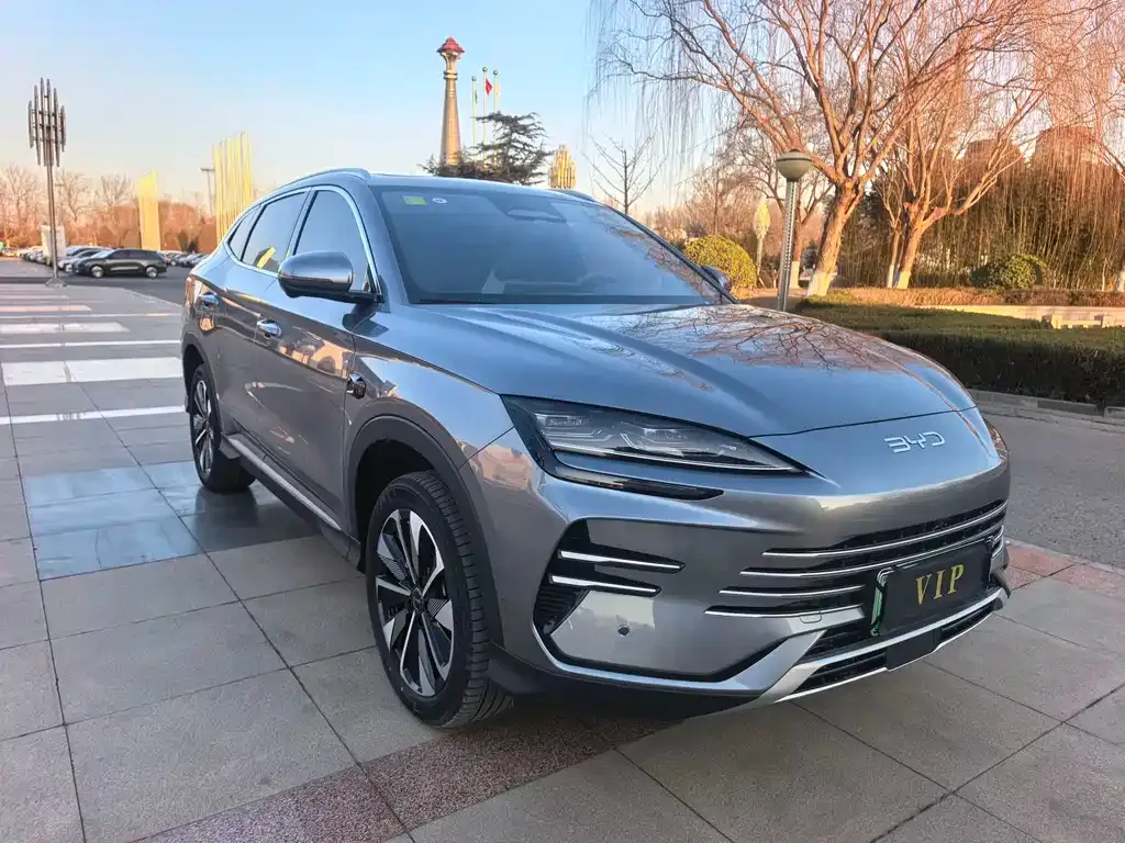 BYD PLUS New Energy — фото 10