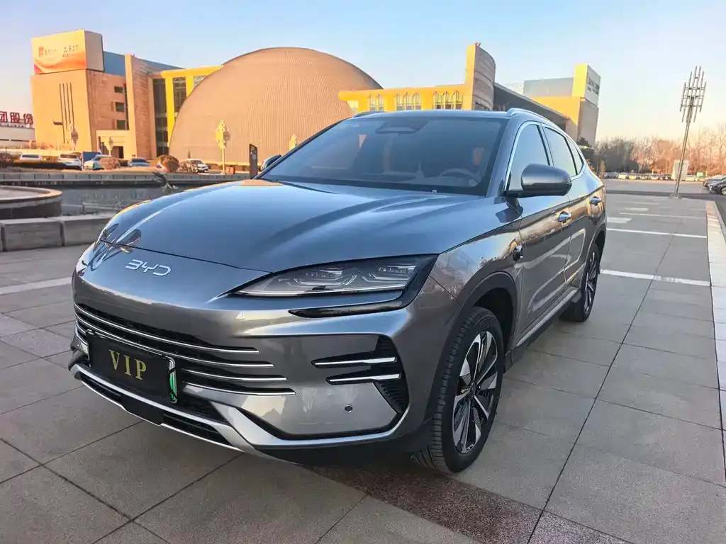 BYD PLUS New Energy — фото 2