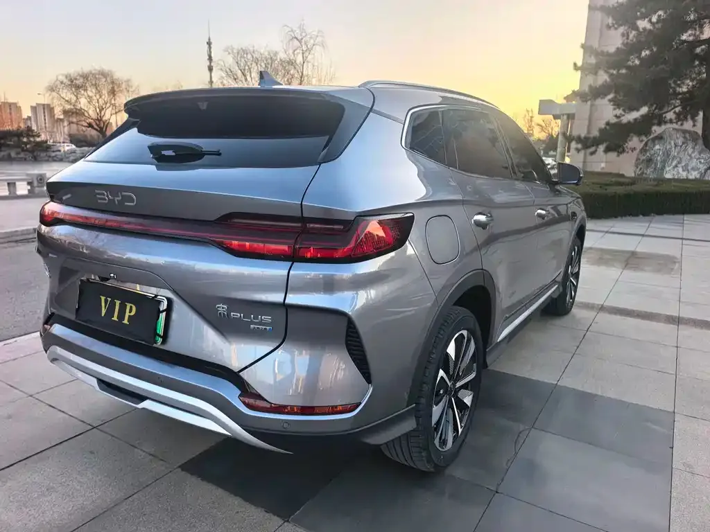 BYD PLUS New Energy — фото 8