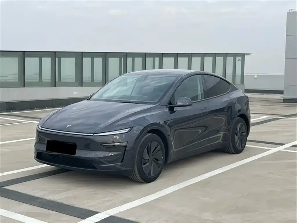 Tesla Model Y 2025 из CN, фото 1