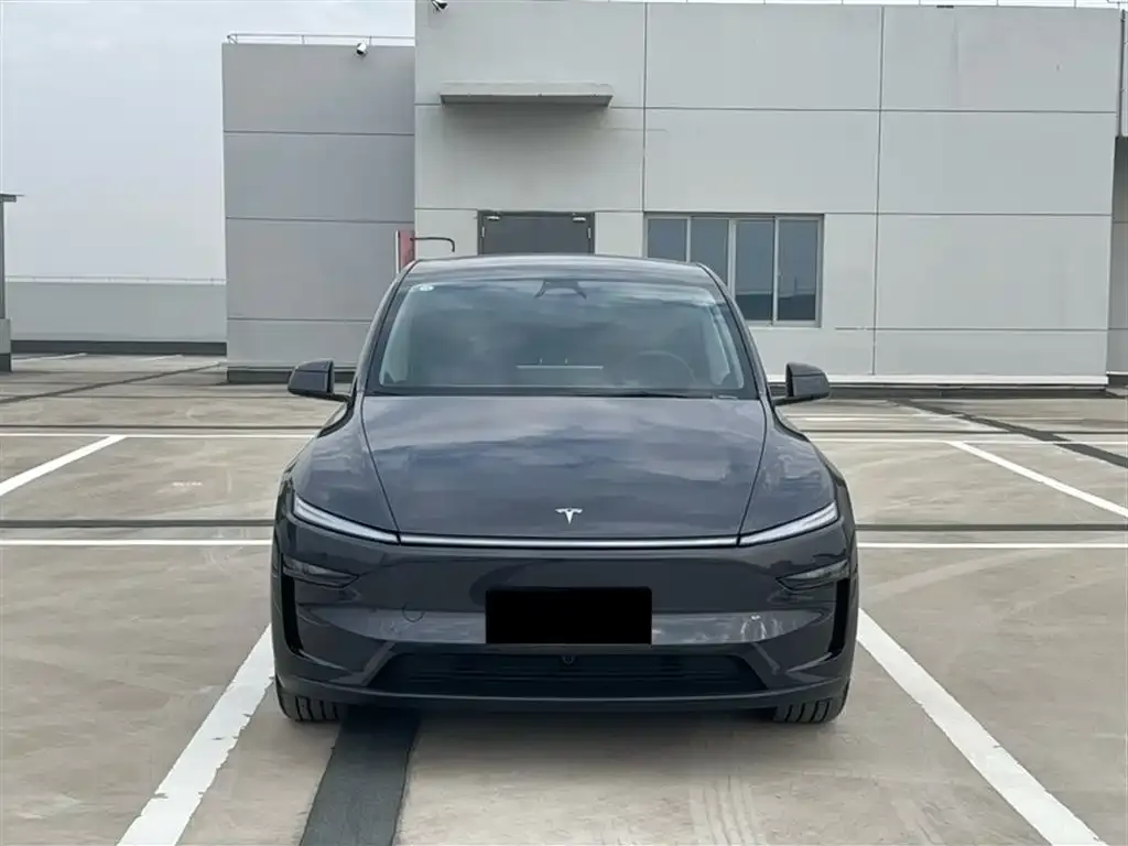 Tesla Model Y 2025 из CN, фото 6