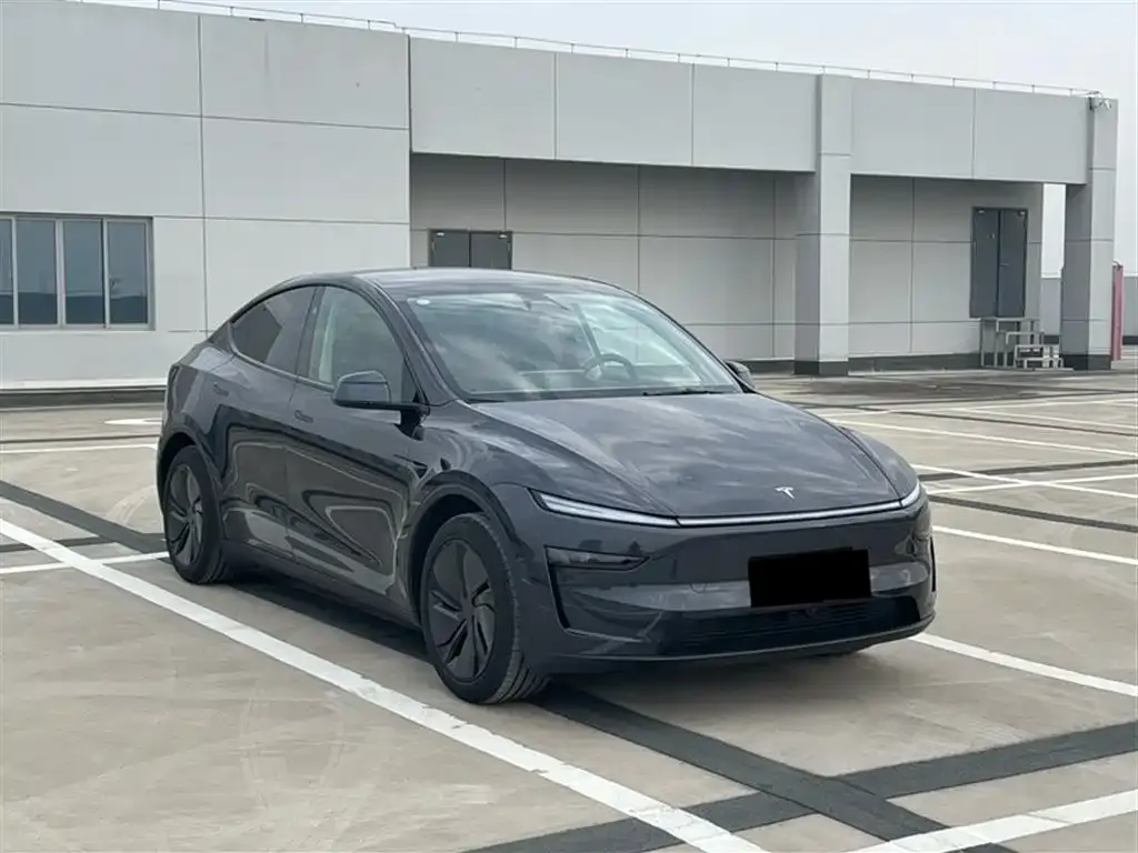 Tesla Model Y 2025 из CN, фото 2