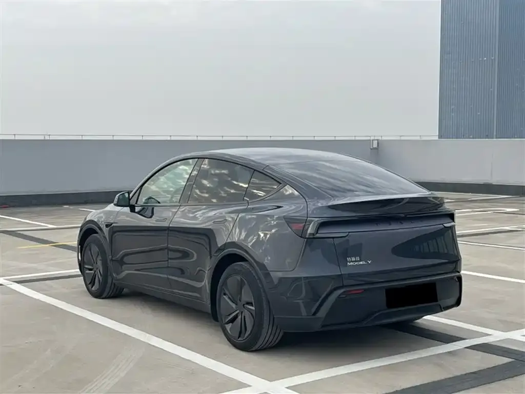 Tesla Model Y 2025 из CN, фото 7