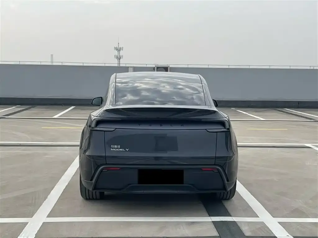 Tesla Model Y 2025 из CN, фото 5