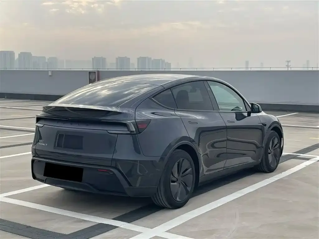 Tesla Model Y 2025 из CN, фото 9