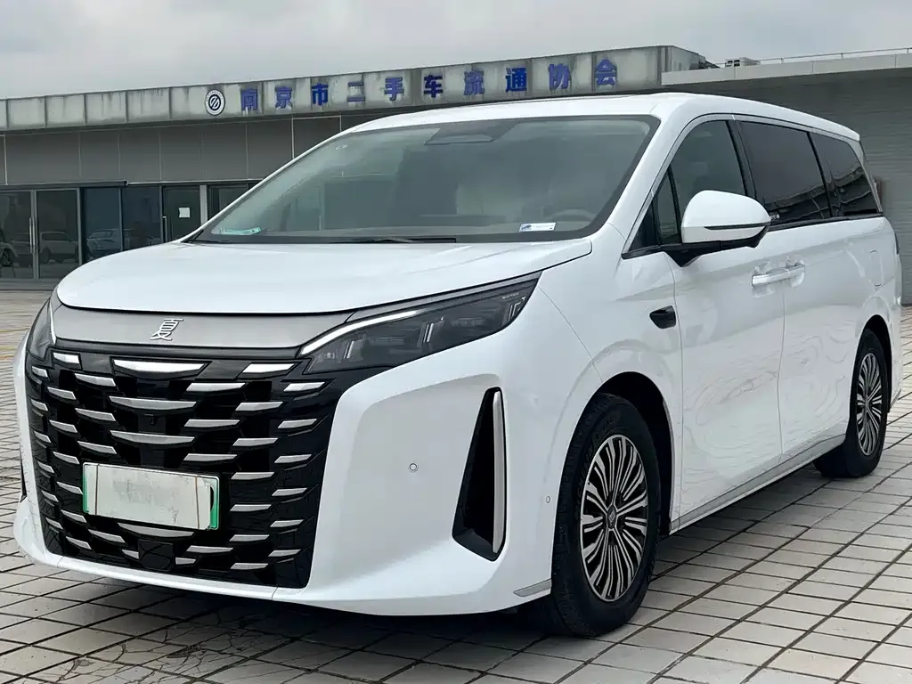 BYD Xia 2025 из CN, фото 1