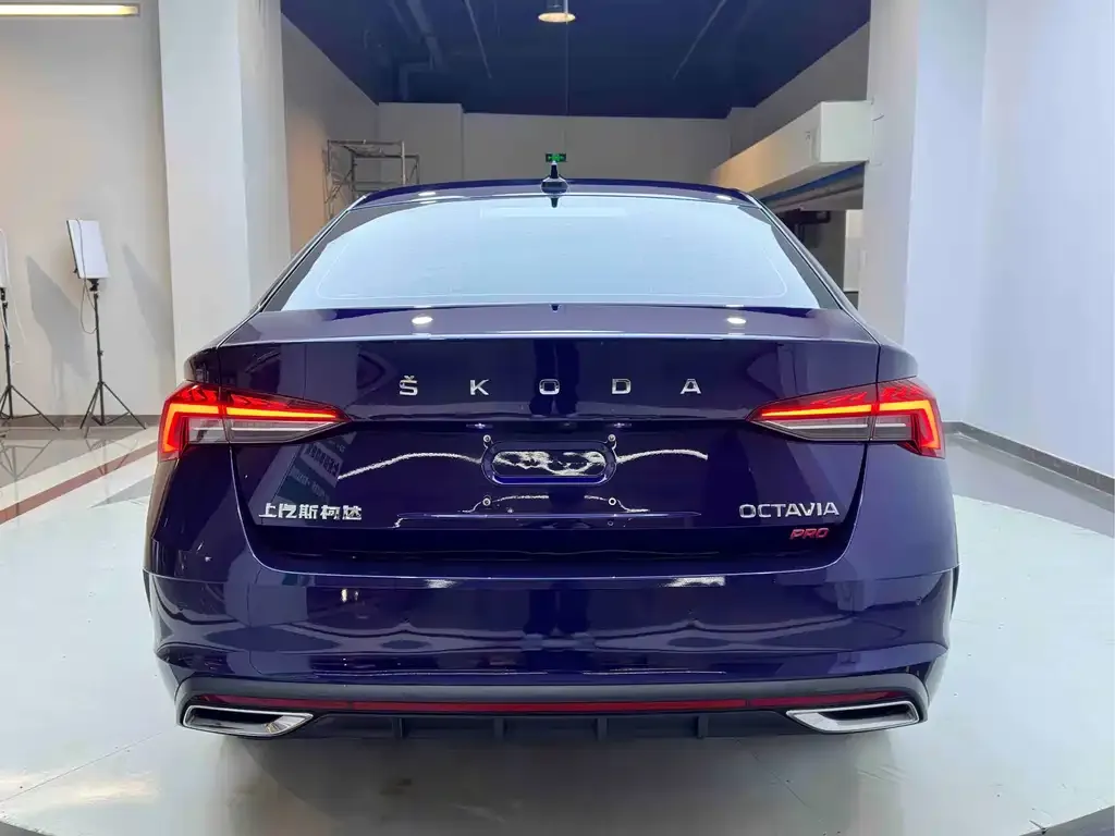 Skoda Octavia 2023 из CN, фото 7