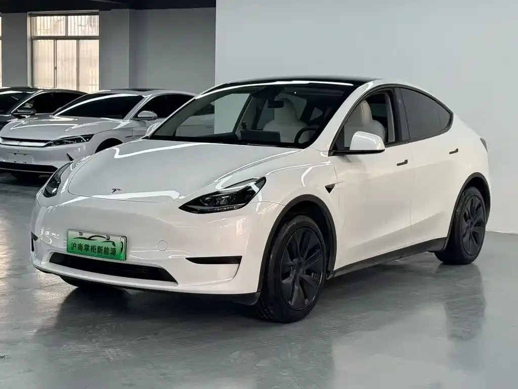 Tesla Model Y — фото 1
