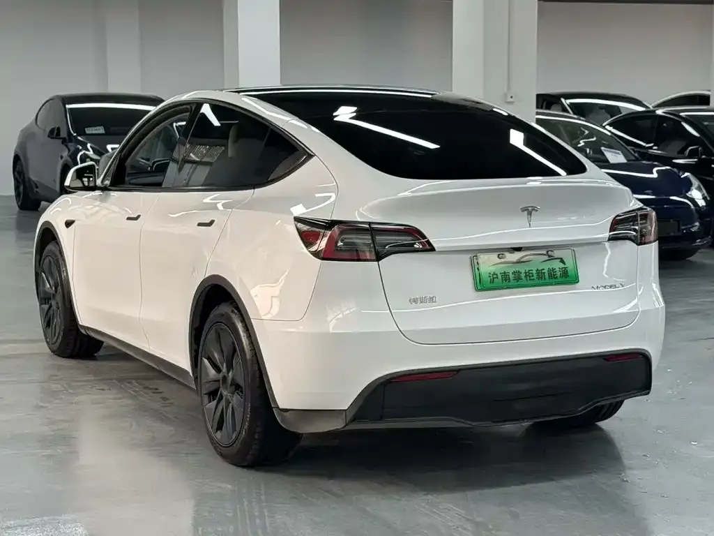 Tesla Model Y — фото 3