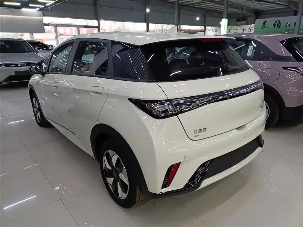 BYD Dolphin 2025 из CN, фото 7