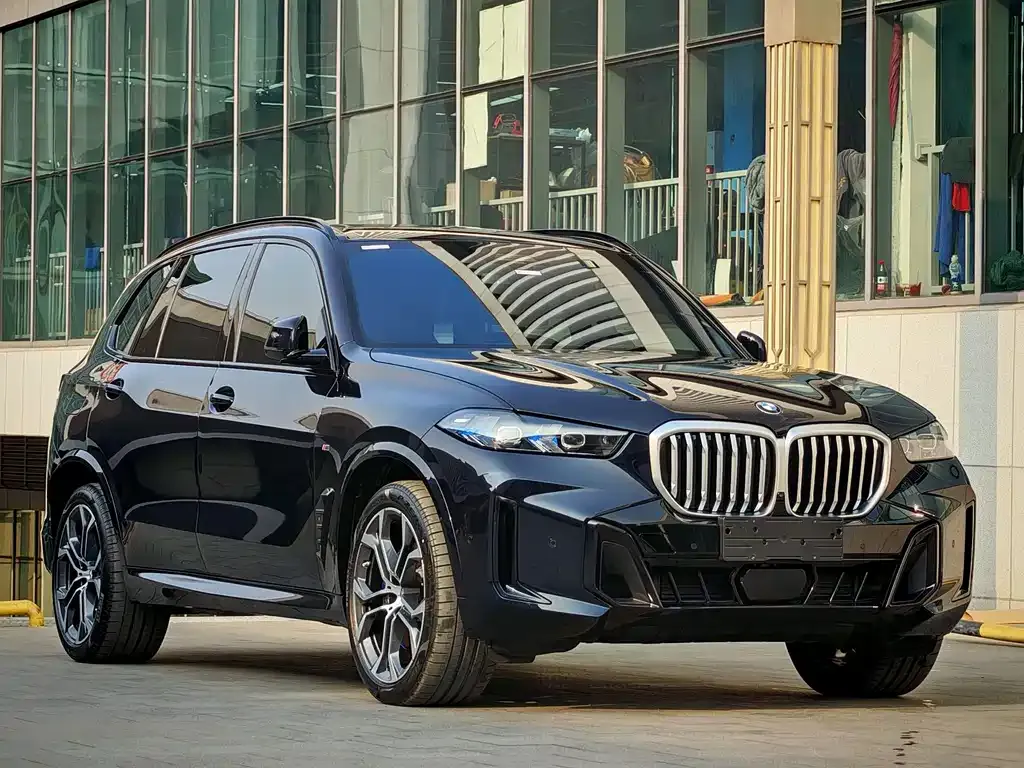 BMW X5 2025 из CN, фото 6