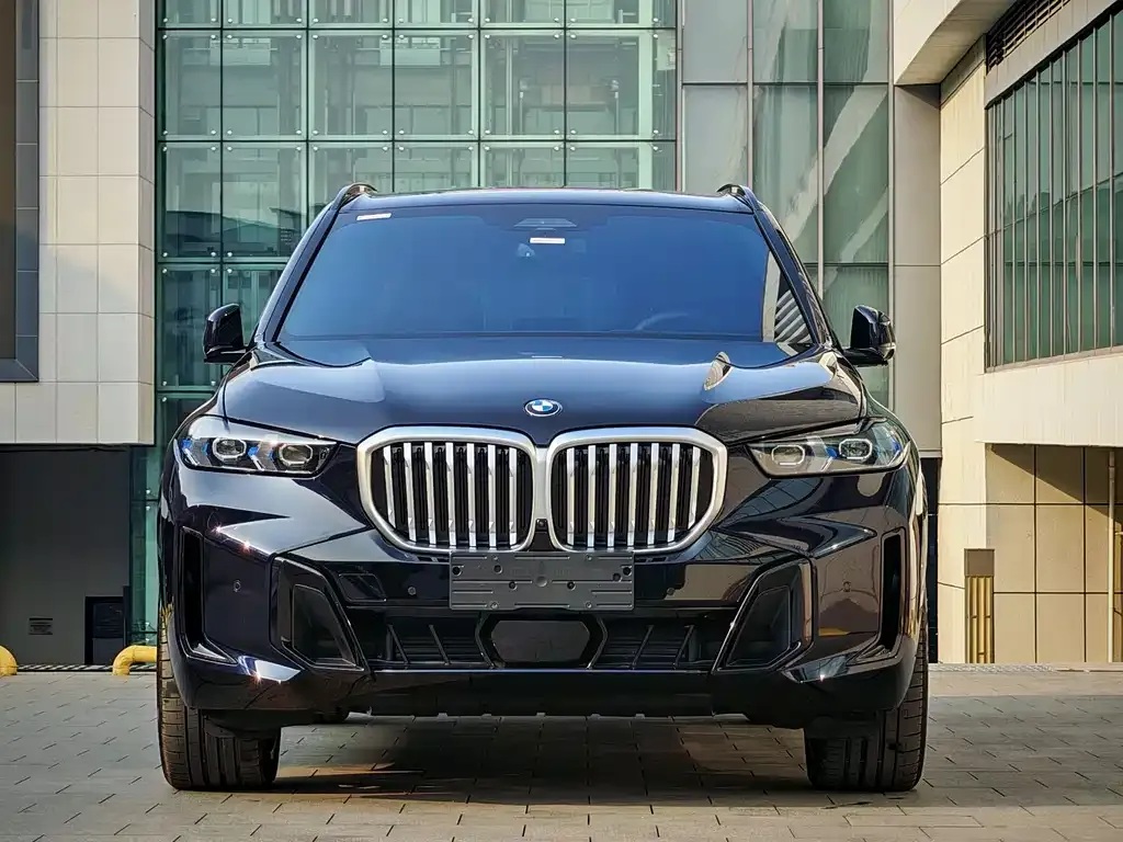 BMW X5 2025 из CN, фото 2