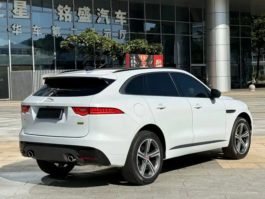 Jaguar F-PACE 2021 из CN, фото 10