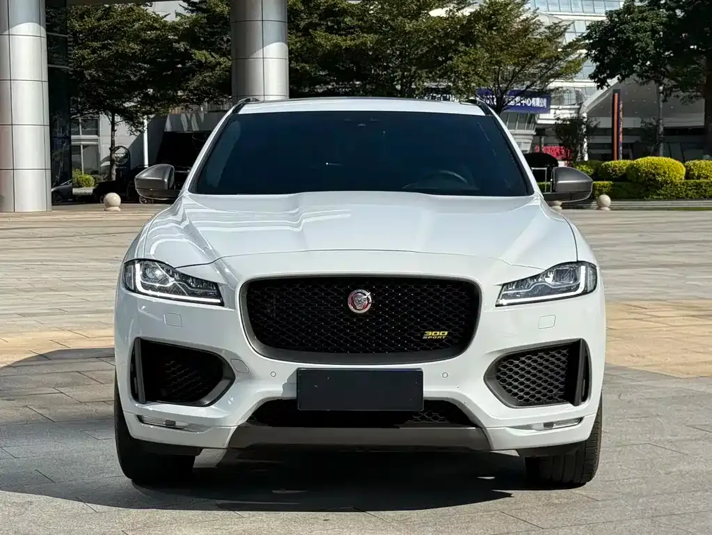 Jaguar F-PACE 2021 из CN, фото 5