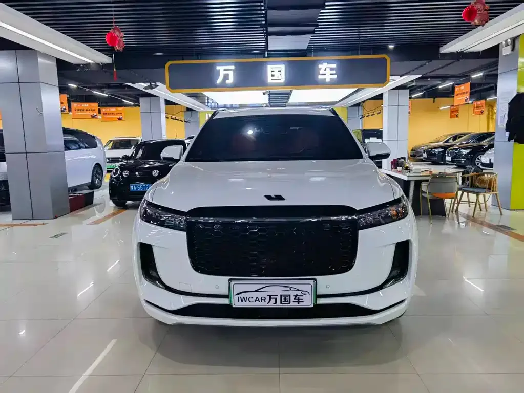 Li Auto ONE 2023 из CN, фото 6
