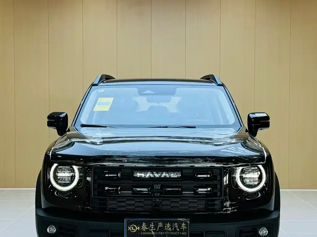 Haval Big Dog — фото 10
