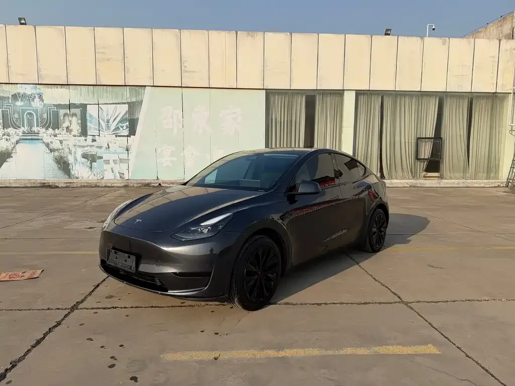 Tesla Model Y 2024 из CN, фото 2