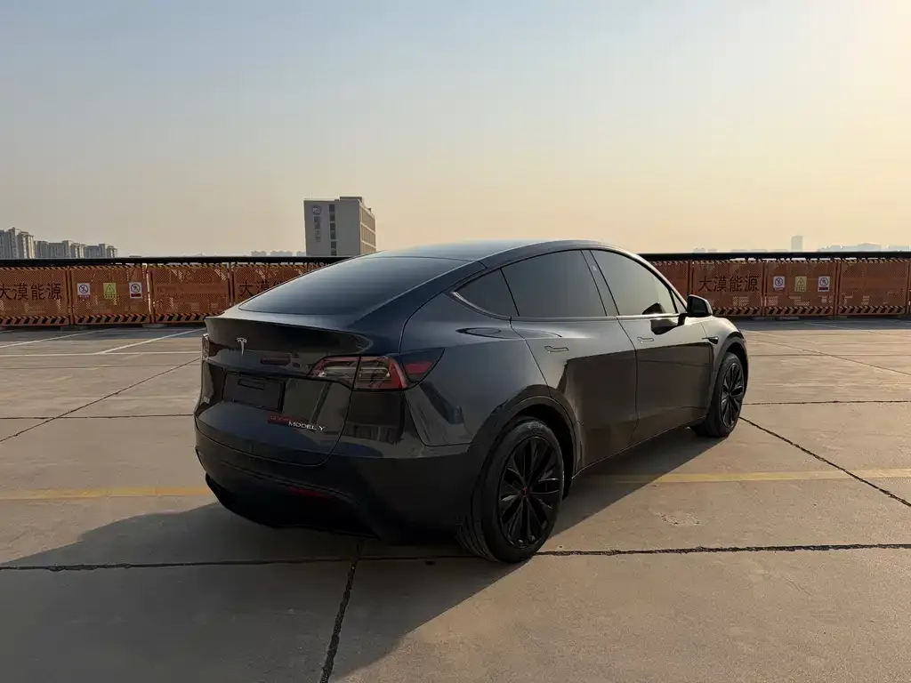 Tesla Model Y 2024 из CN, фото 6