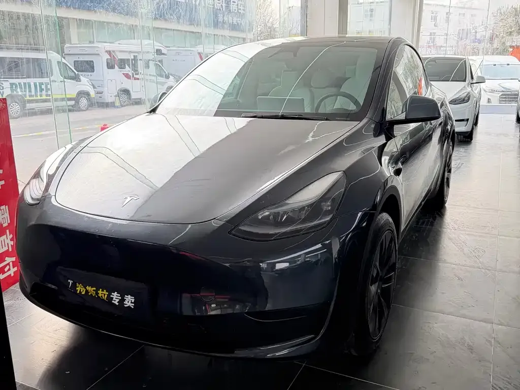 Tesla Model Y — фото 1
