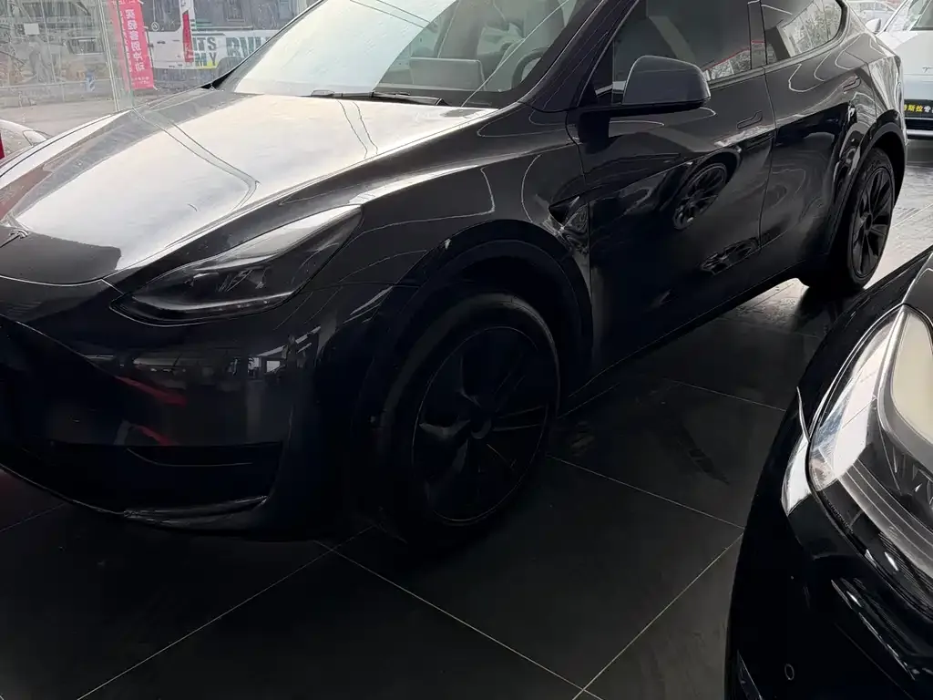 Tesla Model Y — фото 5