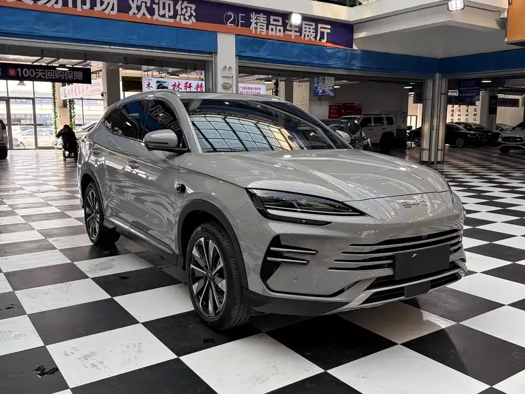 BYD PLUS New Energy — фото 5