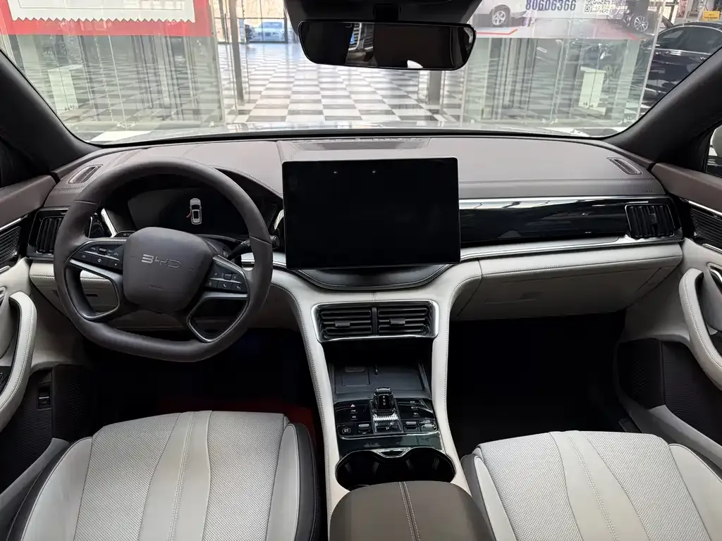 BYD PLUS New Energy — фото 8