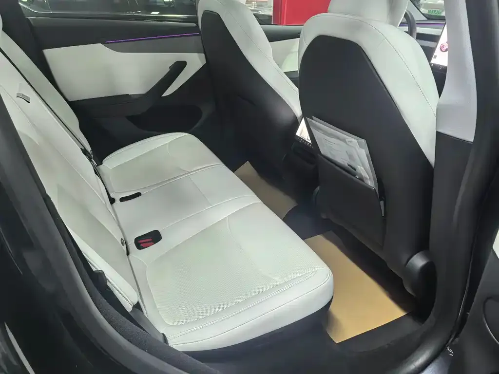 Tesla Model Y 2025 из CN, фото 3