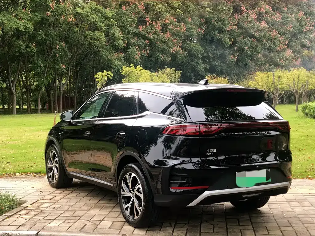BYD Tang New Energy — фото 10