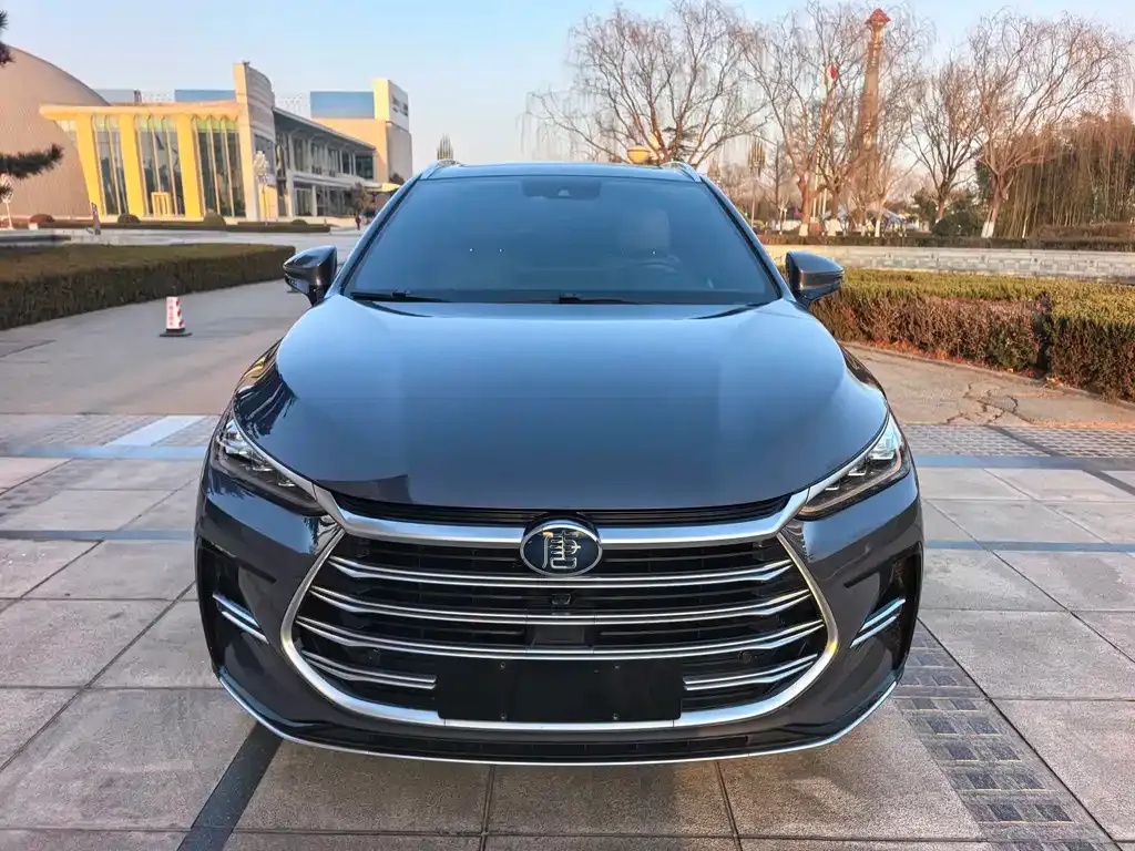 BYD Tang New Energy 2021 из CN, фото 1