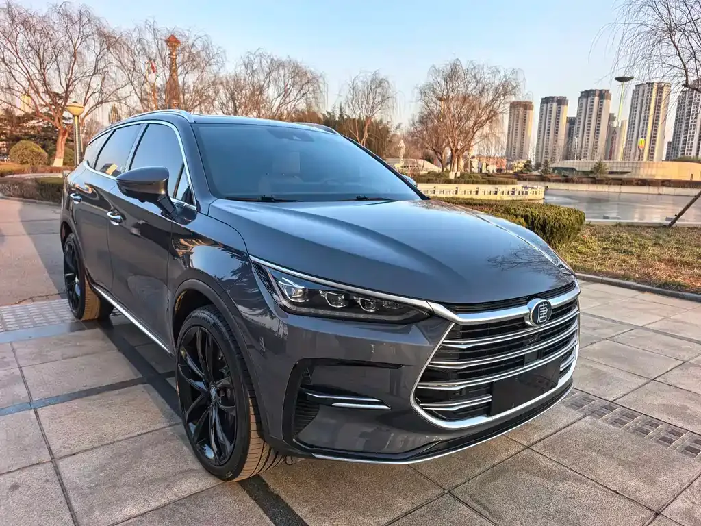 BYD Tang New Energy 2021 из CN, фото 5