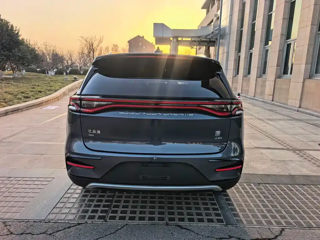 BYD Tang New Energy 2021 из CN, фото 8