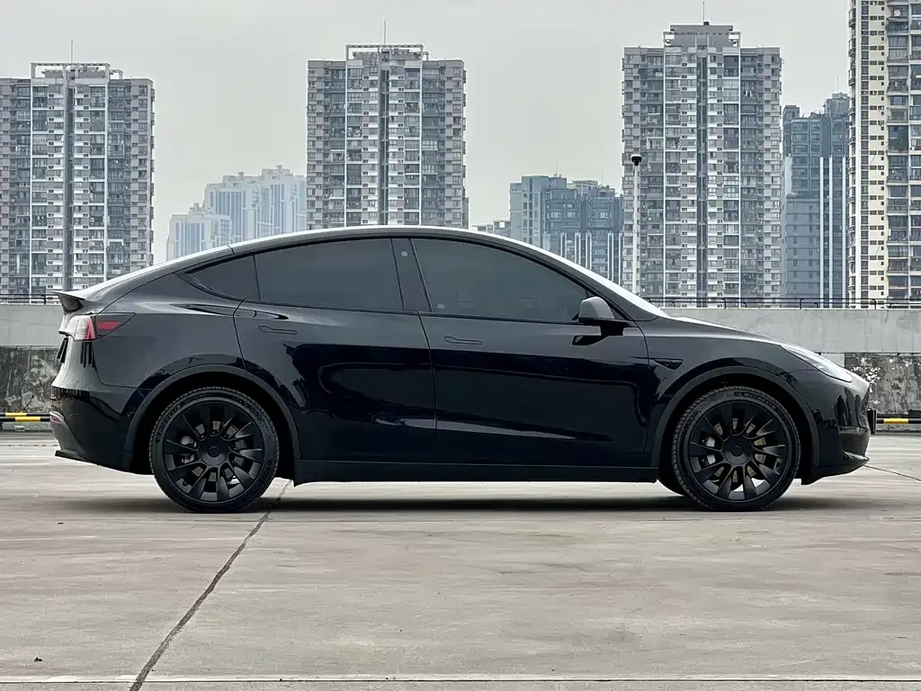 Tesla Model Y 2023 из CN, фото 6