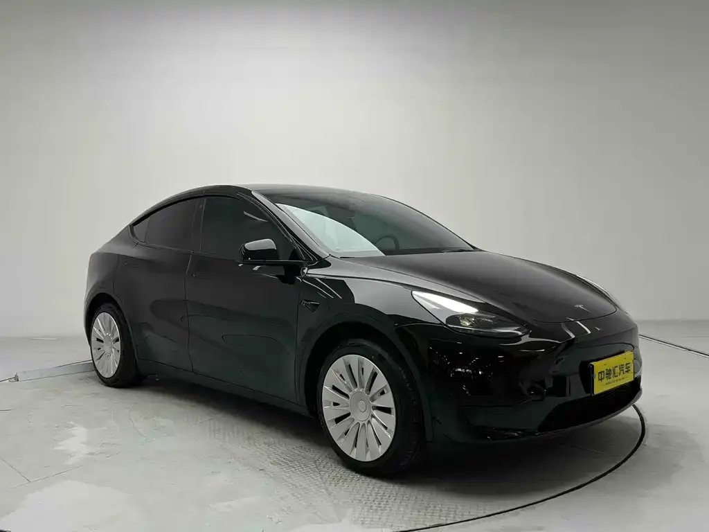 Tesla Model Y — фото 5