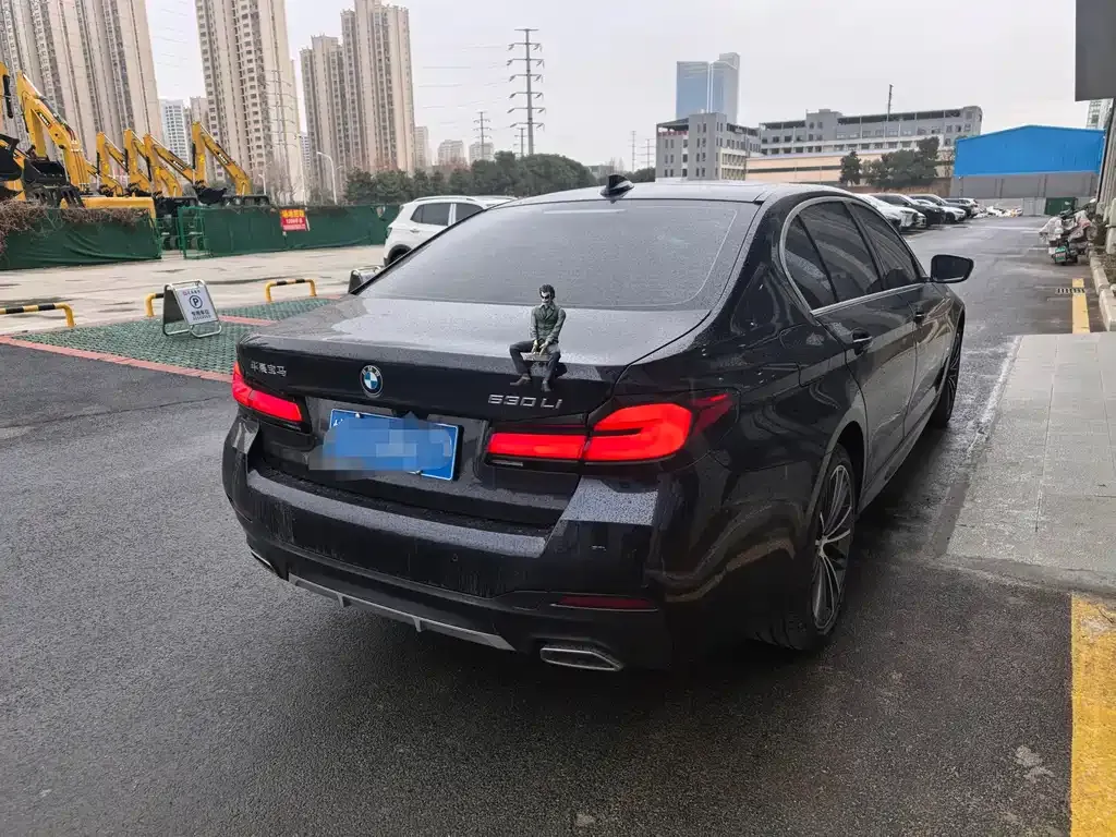 BMW 5 Series 2023 из CN, фото 8