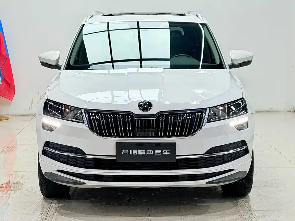 Skoda Karoq 2022 из CN, фото 3