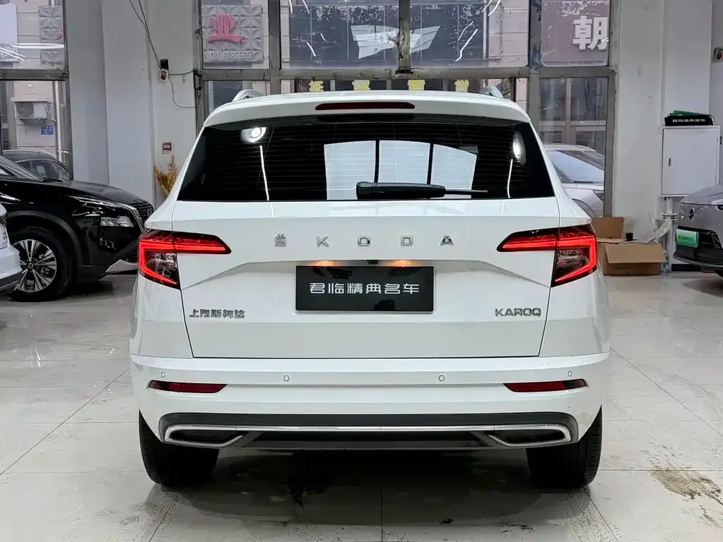 Skoda Karoq 2022 из CN, фото 8