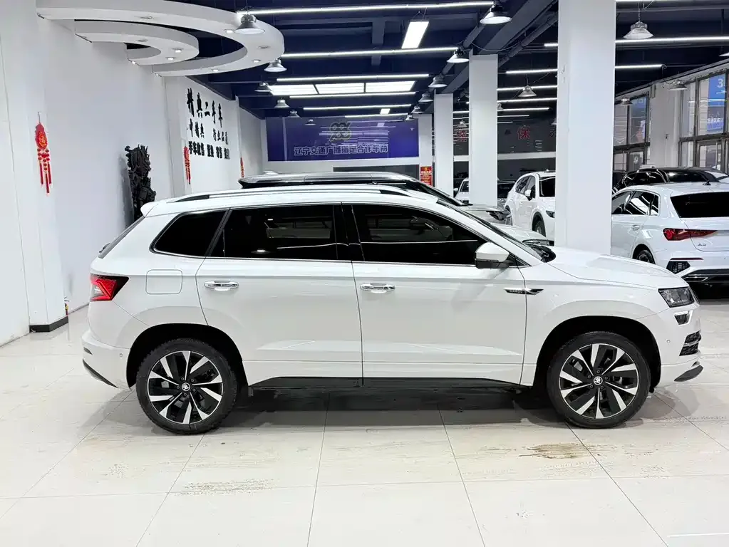 Skoda Karoq 2022 из CN, фото 10